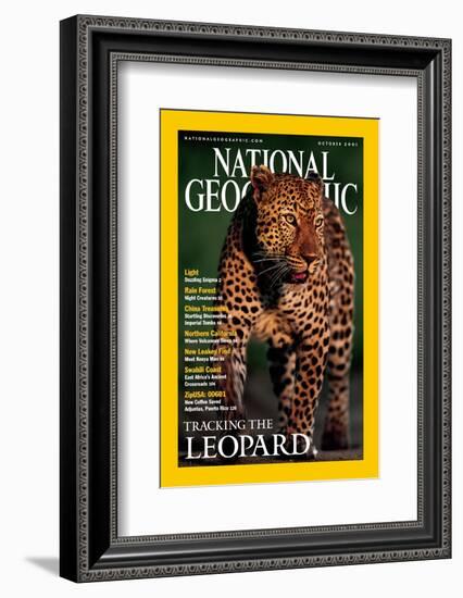 Cover of the October, 2001 National Geographic Magazine-Kim Wolhuter-Framed Photographic Print