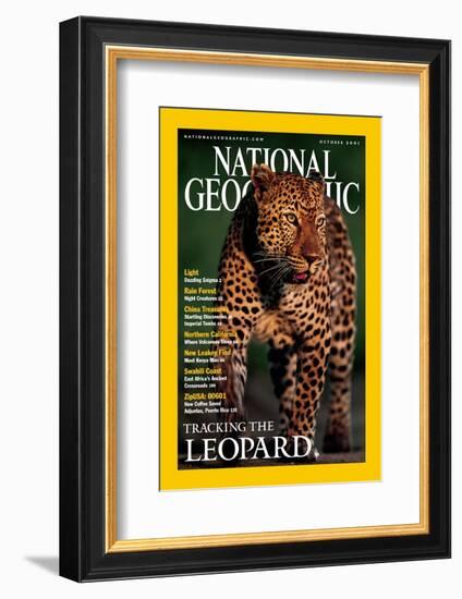 Cover of the October, 2001 National Geographic Magazine-Kim Wolhuter-Framed Photographic Print