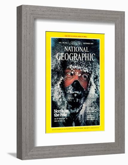 Cover of the September, 1986 National Geographic Magazine-Jim Brandenburg-Framed Photographic Print