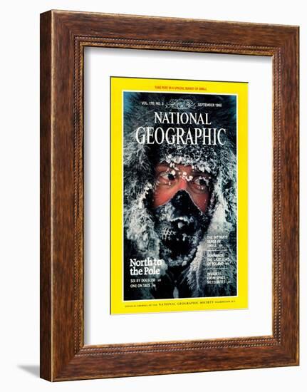 Cover of the September, 1986 National Geographic Magazine-Jim Brandenburg-Framed Photographic Print