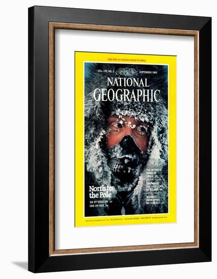 Cover of the September, 1986 National Geographic Magazine-Jim Brandenburg-Framed Photographic Print