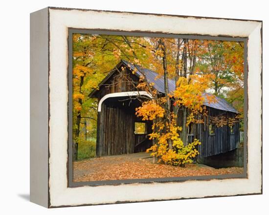 Covered Bridge and Maple Trees-James Randklev-Framed Premier Image Canvas