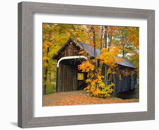 Covered Bridge and Maple Trees-James Randklev-Framed Photographic Print