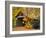 Covered Bridge and Maple Trees-James Randklev-Framed Photographic Print