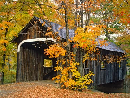 'Covered Bridge and Maple Trees' Photographic Print - James Randklev ...