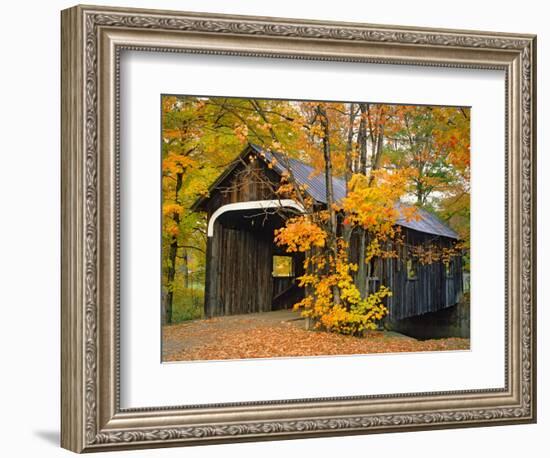 Covered Bridge and Maple Trees-James Randklev-Framed Photographic Print