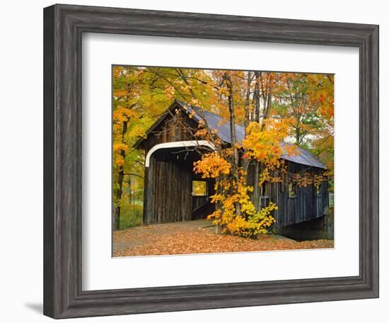 Covered Bridge and Maple Trees-James Randklev-Framed Photographic Print