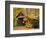 Covered Bridge and Maple Trees-James Randklev-Framed Photographic Print