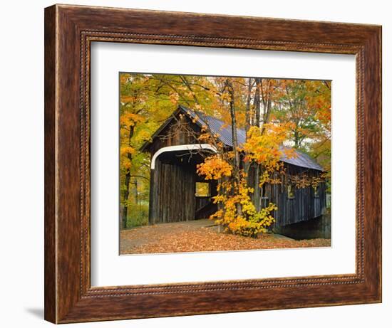 Covered Bridge and Maple Trees-James Randklev-Framed Photographic Print