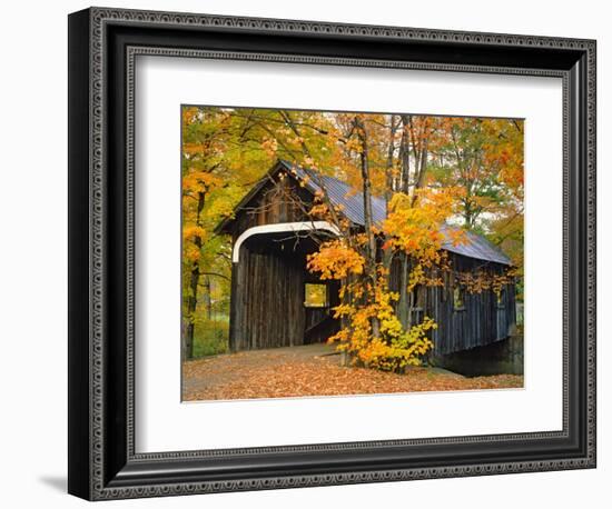 Covered Bridge and Maple Trees-James Randklev-Framed Photographic Print