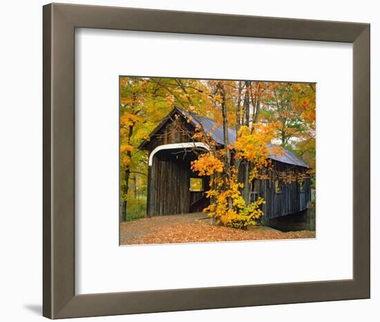 Covered Bridge and Maple Trees-James Randklev-Framed Photographic Print