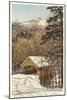 Covered Bridge, Franconia Notch, New Hampshire-null-Mounted Art Print