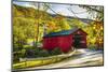 Covered Bridge In The Green Mountains, Vermont-George Oze-Mounted Photographic Print