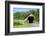 Covered bridge, Killington, Vermont, USA-Lisa S. Engelbrecht-Framed Photographic Print