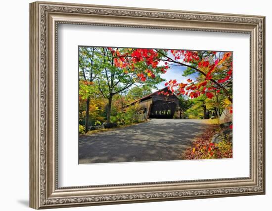 Covered Bridge Of Albany, New Hampshire-George Oze-Framed Photographic Print