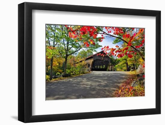 Covered Bridge Of Albany, New Hampshire-George Oze-Framed Photographic Print