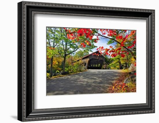 Covered Bridge Of Albany, New Hampshire-George Oze-Framed Photographic Print