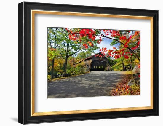 Covered Bridge Of Albany, New Hampshire-George Oze-Framed Photographic Print