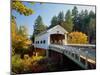 Covered bridge over a river, Rochester Covered Bridge, Calapooia River, Douglas County, Oregon, USA-null-Mounted Photographic Print