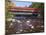 Covered Bridge over the Swift River, White Mountains, New Hampshire, USA-Dennis Flaherty-Mounted Photographic Print