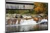 Covered bridge over Wild Ammonoosuc River, New Hampshire, USA-Michel Hersen-Mounted Photographic Print