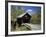 Covered Bridge-null-Framed Photographic Print