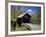 Covered Bridge-null-Framed Photographic Print