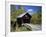 Covered Bridge-null-Framed Photographic Print