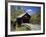 Covered Bridge-null-Framed Photographic Print