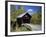 Covered Bridge-null-Framed Photographic Print