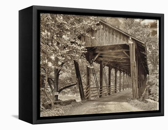 Covered Bridge-Mindy Sommers-Framed Premier Image Canvas