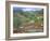 Covered Bridge-Carol Salas-Framed Giclee Print