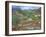 Covered Bridge-Carol Salas-Framed Giclee Print