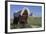 Covered Wagon on the Prairie Crossing of Oregon Trail and Mormon Trail Near Scotts Bluff, Nebraska-null-Framed Photographic Print