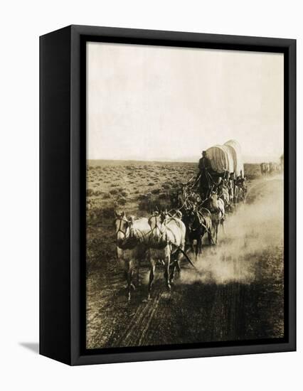 Covered Wagons on the Plains Going West-Bettmann-Framed Premier Image Canvas