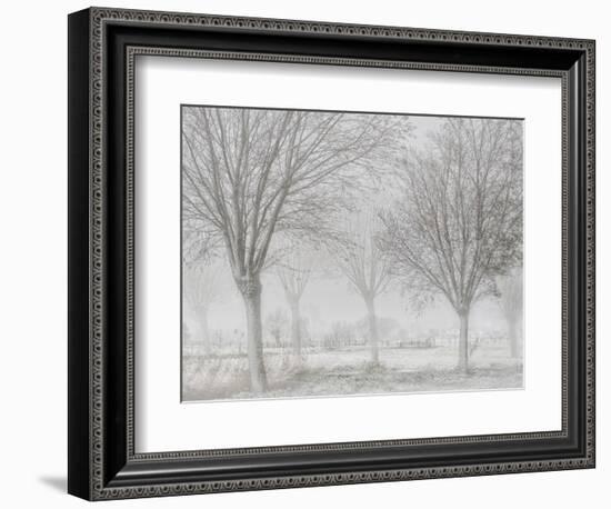 Covered with a white quilt-Yvette Depaepe-Framed Photographic Print