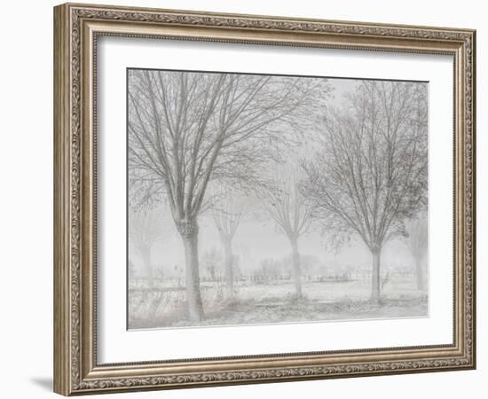 Covered with a white quilt-Yvette Depaepe-Framed Photographic Print