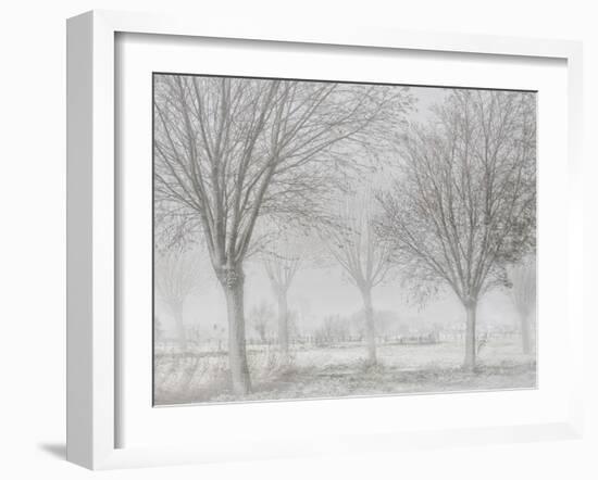 Covered with a white quilt-Yvette Depaepe-Framed Photographic Print