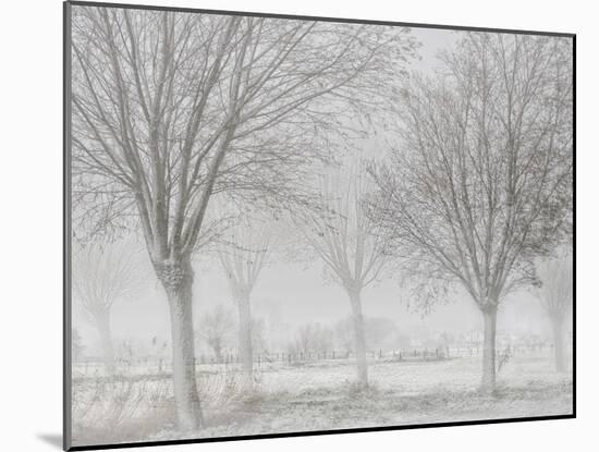 Covered with a white quilt-Yvette Depaepe-Mounted Photographic Print