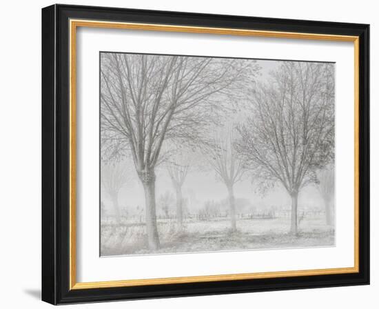 Covered with a white quilt-Yvette Depaepe-Framed Photographic Print