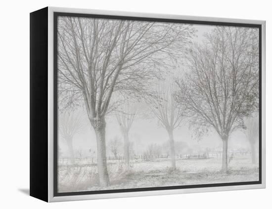 Covered with a white quilt-Yvette Depaepe-Framed Premier Image Canvas