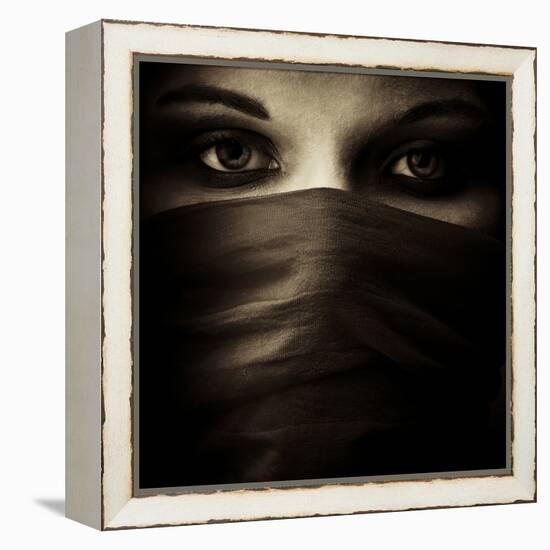 Covered-PhotoINC-Framed Premier Image Canvas