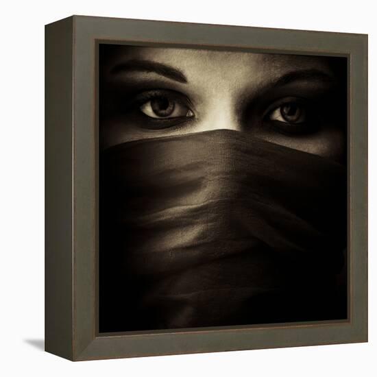 Covered-PhotoINC-Framed Premier Image Canvas