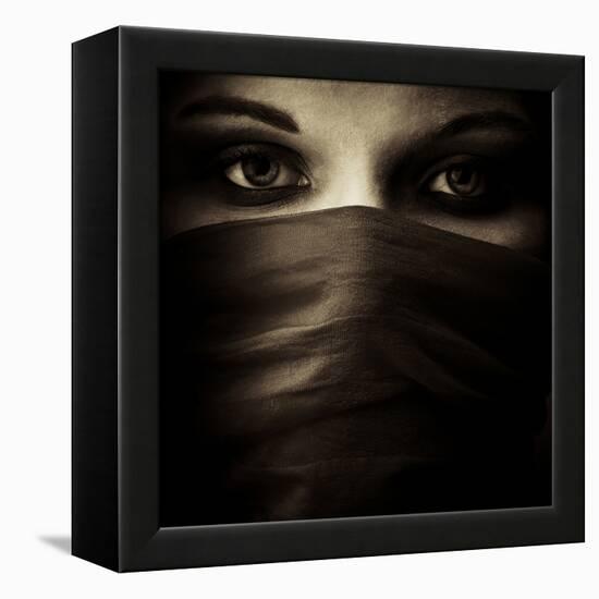 Covered-PhotoINC-Framed Premier Image Canvas