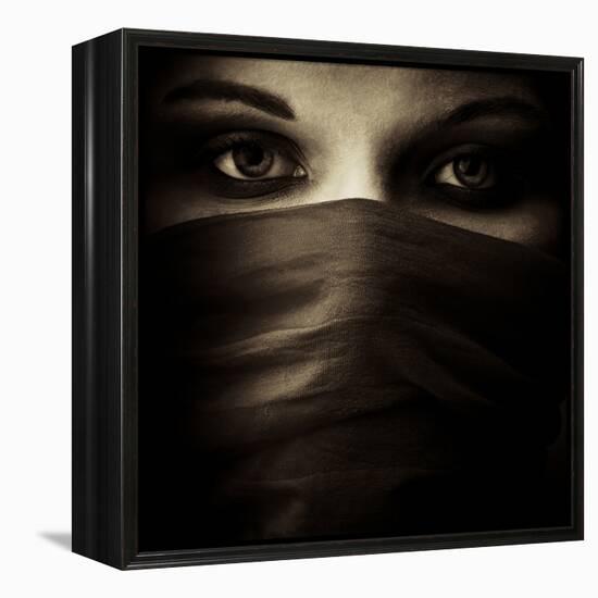 Covered-PhotoINC-Framed Premier Image Canvas
