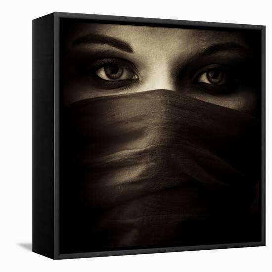 Covered-PhotoINC-Framed Premier Image Canvas