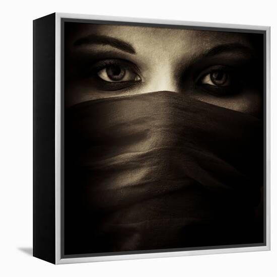 Covered-PhotoINC-Framed Premier Image Canvas