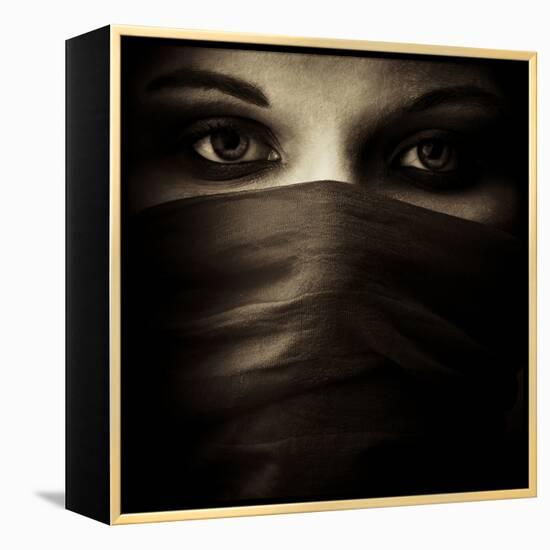 Covered-PhotoINC-Framed Premier Image Canvas