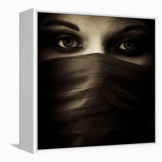 Covered-PhotoINC-Framed Premier Image Canvas