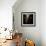 Covered-PhotoINC-Framed Photographic Print displayed on a wall